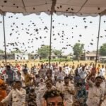 अंतरवालीतील मनोज जरांगेच्या बैठकीवर अचानक मधमाशांचा हल्ला: घटना तपशील