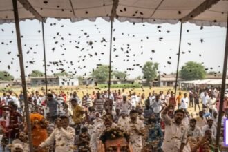 अंतरवालीतील मनोज जरांगेच्या बैठकीवर अचानक मधमाशांचा हल्ला: घटना तपशील