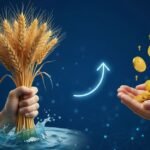 मुख्यमंत्री फडणवीस: पुरग्रस्त शेतकऱ्यांना अनुदान देण्याचे आश्वासन, हात आखडता नाही