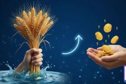 मुख्यमंत्री फडणवीस: पुरग्रस्त शेतकऱ्यांना अनुदान देण्याचे आश्वासन, हात आखडता नाही