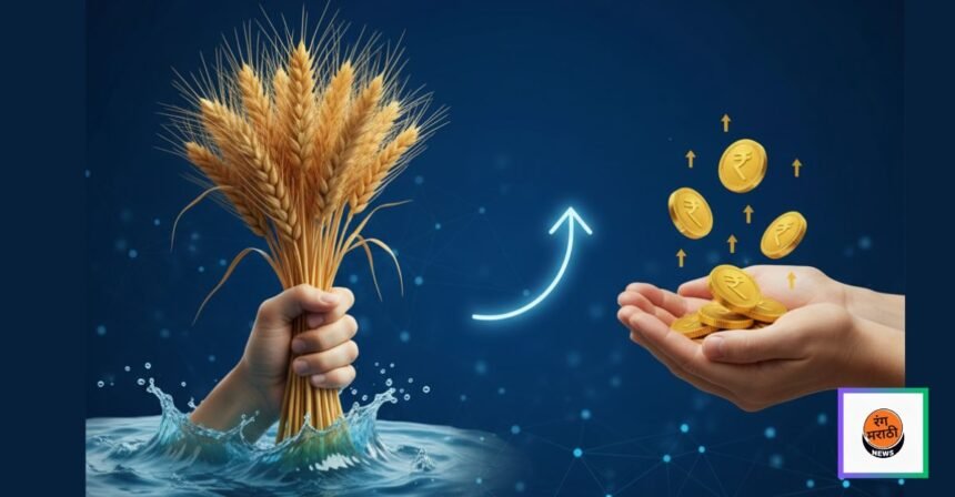 मुख्यमंत्री फडणवीस: पुरग्रस्त शेतकऱ्यांना अनुदान देण्याचे आश्वासन, हात आखडता नाही