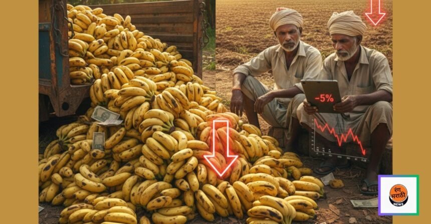 केळ्याचं भावघसरण: जळगावच्या पुरवठ्यामुळे पुणे-सोलापूर शेतकऱ्यांना आर्थिक धक्का